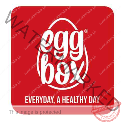 egg-box-pakistan